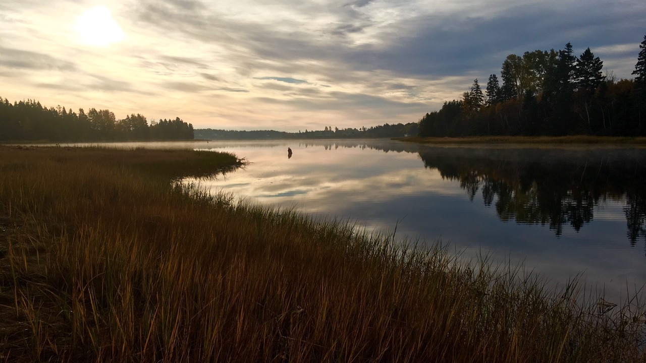 Photo of Others in Bay Fortune