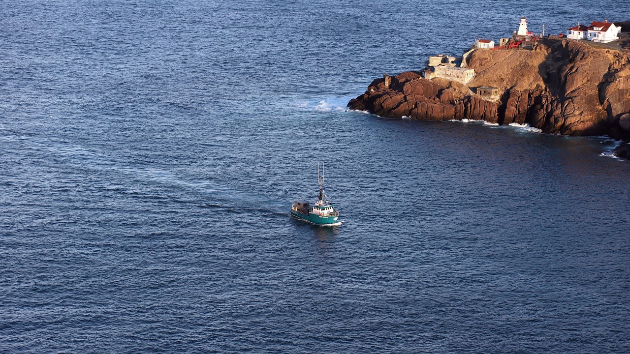 Photo of Others in Terra Nova