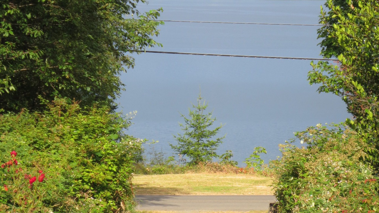 Photo of Others in Hornby Island
