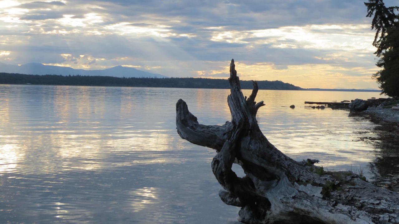 Photo of Others in Hornby Island