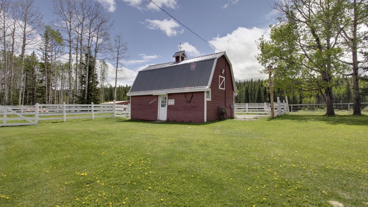 Photo of Others in Calgary