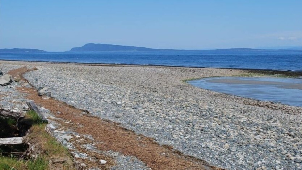Photo of Others in Regional District of Nanaimo