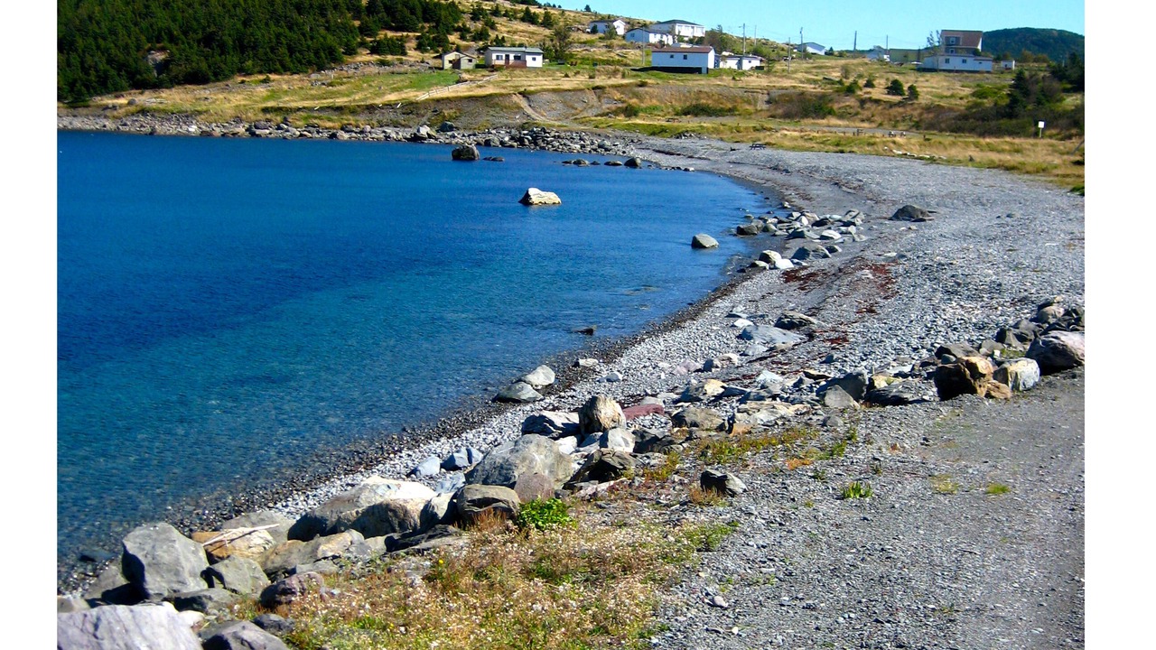 Photo of Others in New Perlican