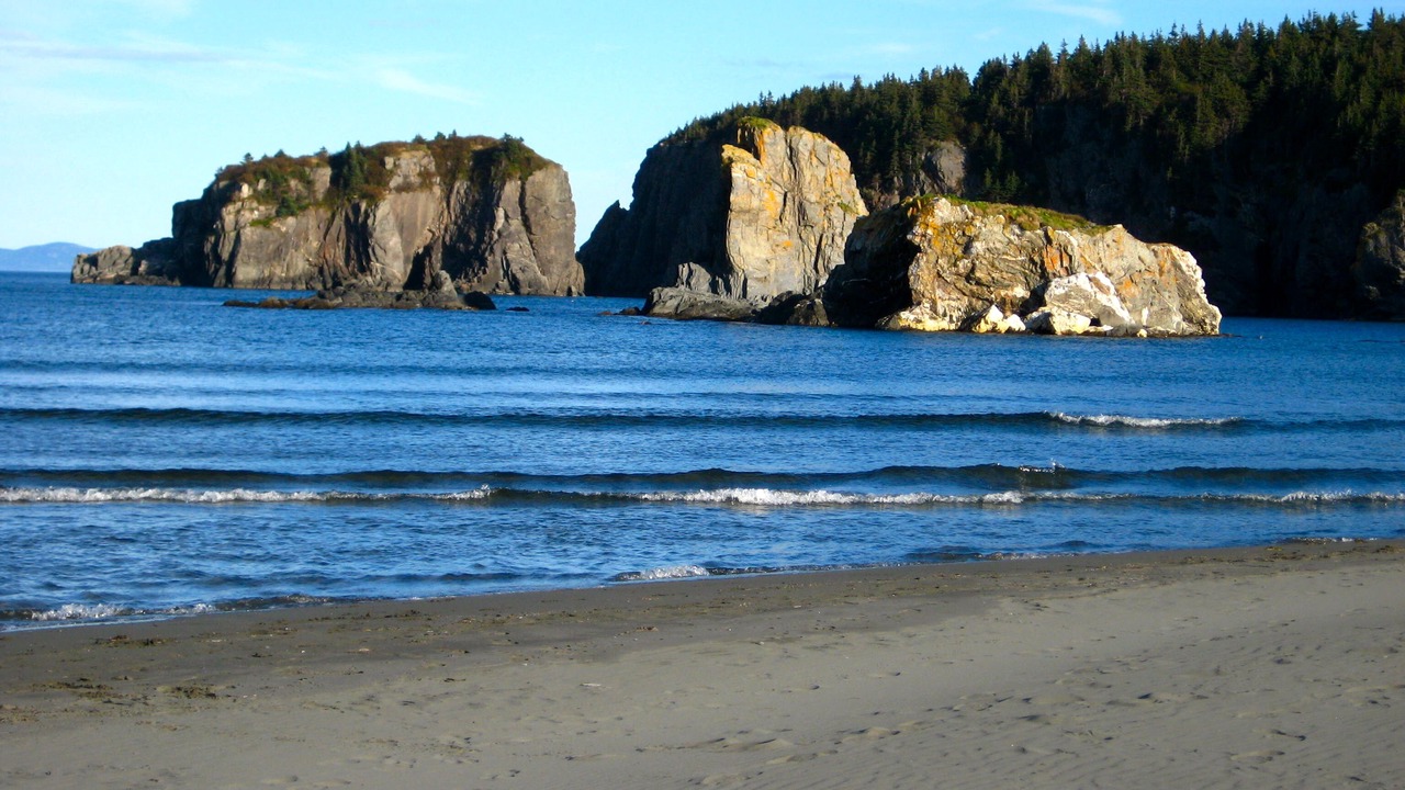 Photo of Others in New Perlican