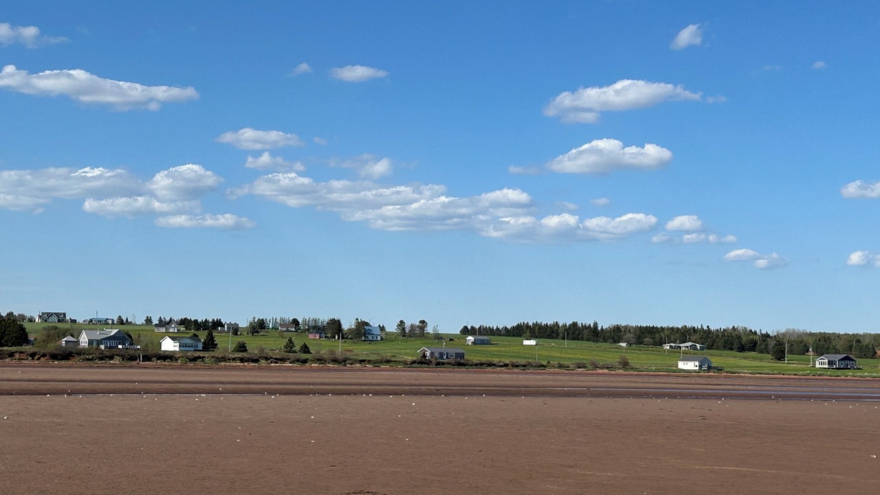 Photo of Others in Little Pond