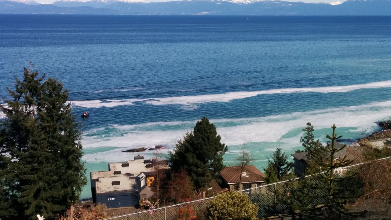 Photo of Others in Regional District of Nanaimo