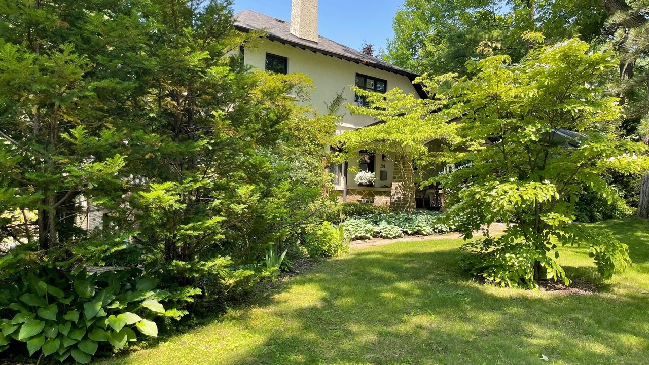 Photo of Outdoor in Mineola