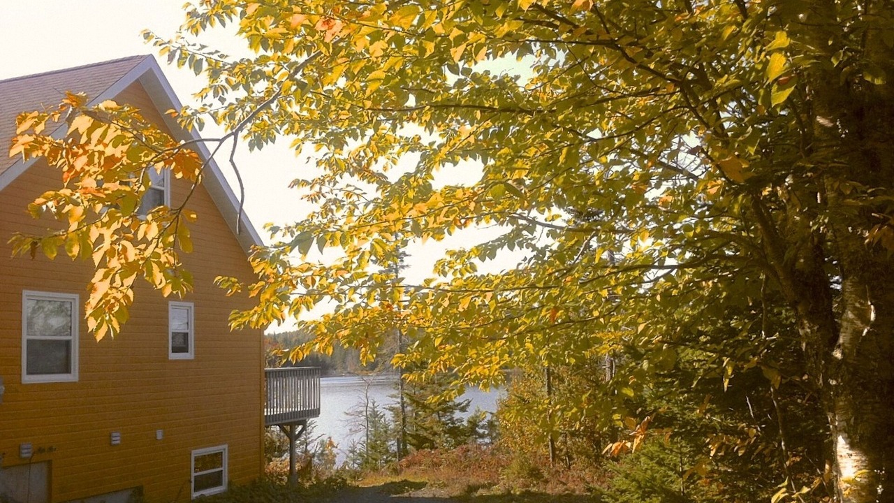Photo of Outdoor in Walkerville