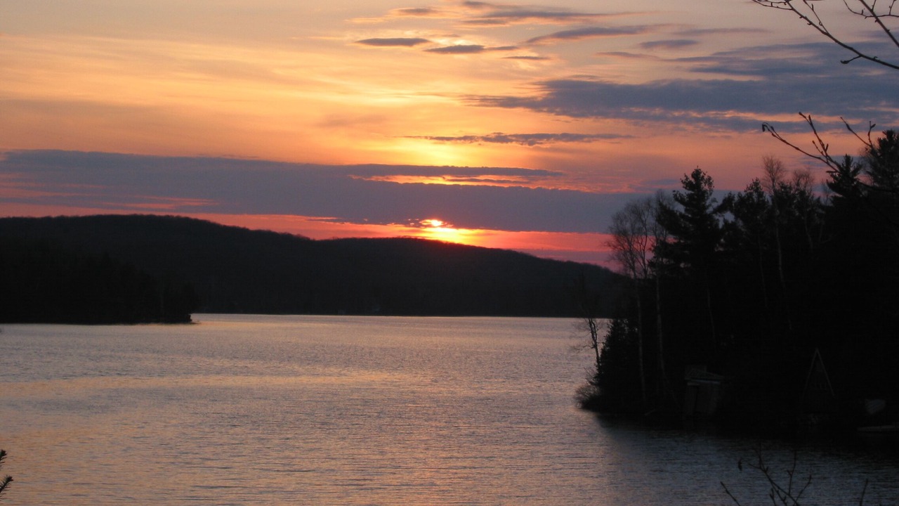 Photo of Others in Scotia