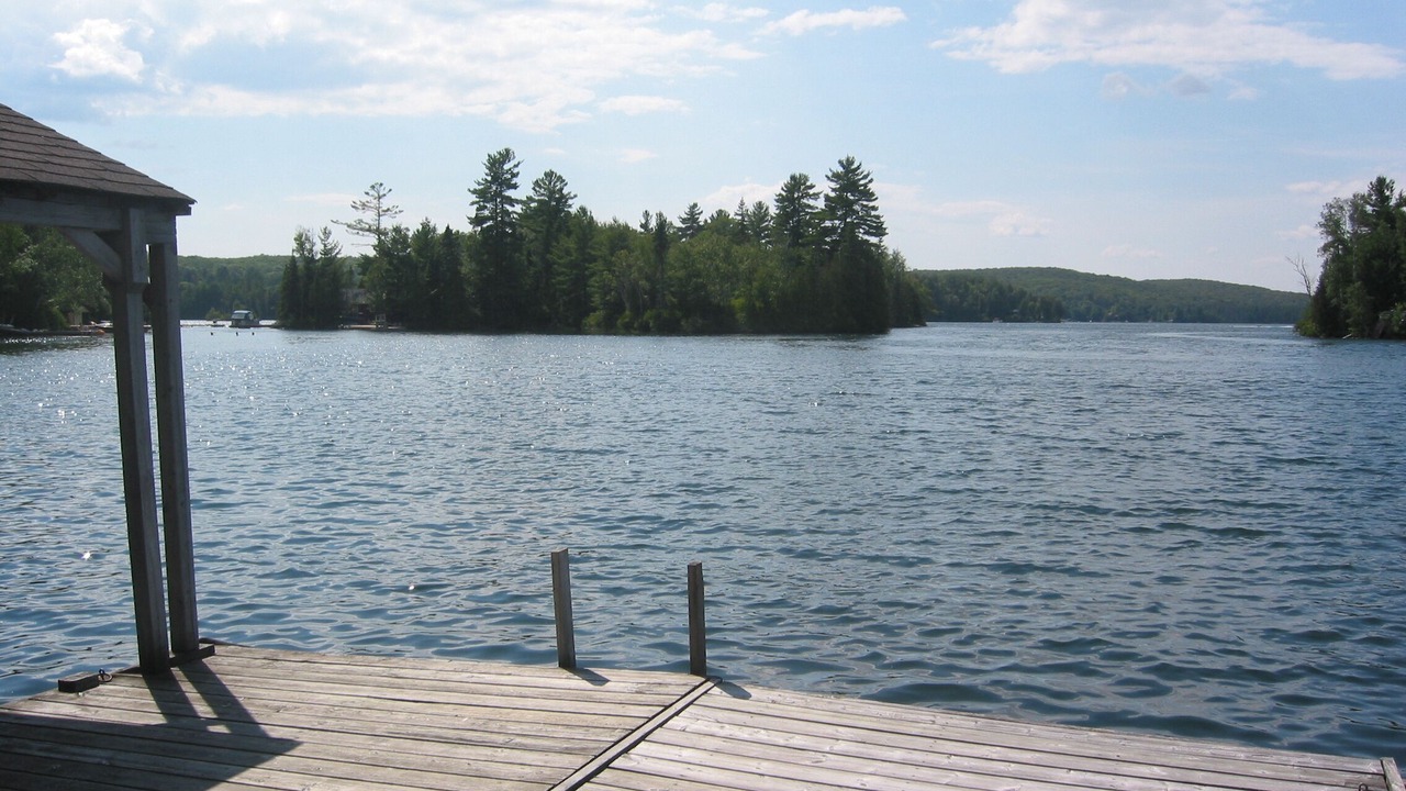 Photo of Others in Scotia