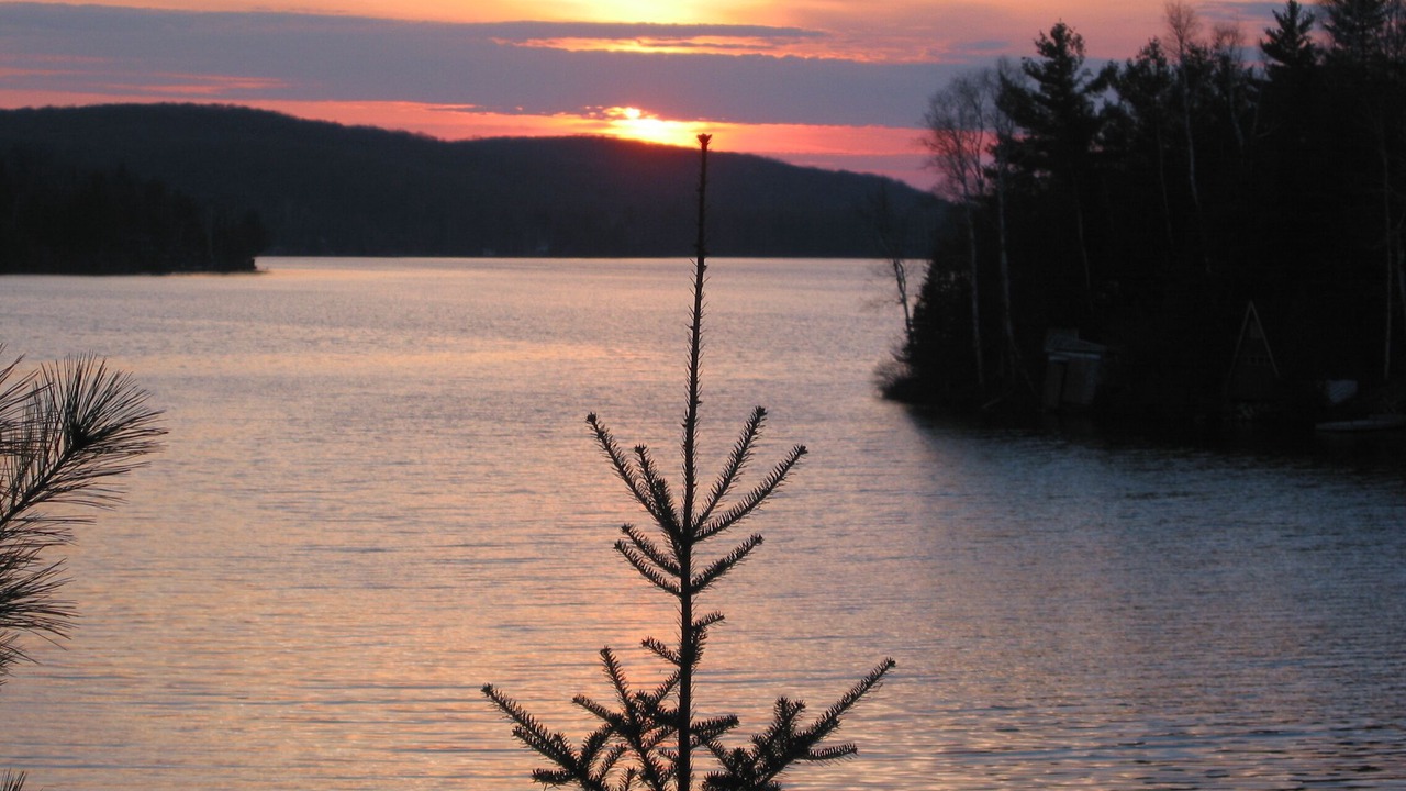 Photo of Others in Scotia