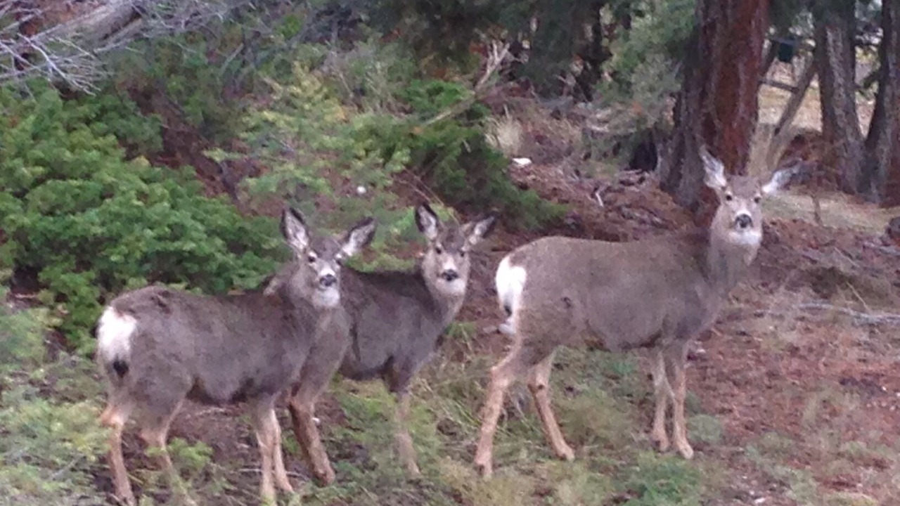 Photo of Others in Southwest Mission
