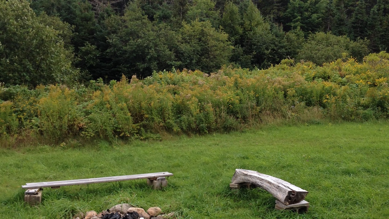 Photo of Outdoor in Breton Cove
