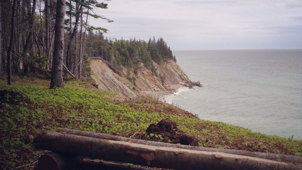 Photo of Others in Breton Cove