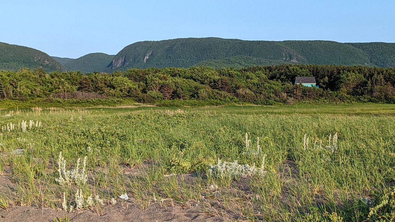 Photo of Others in Petit-Etang