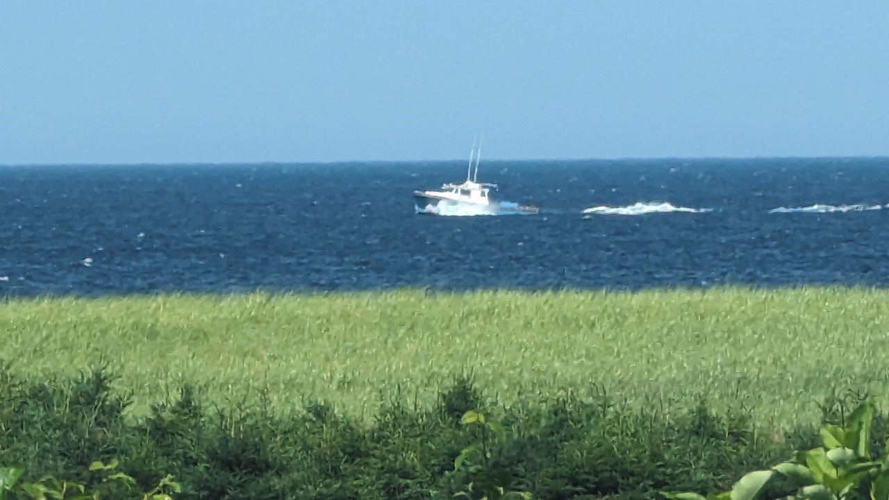 Photo of Outdoor in Petit-Etang