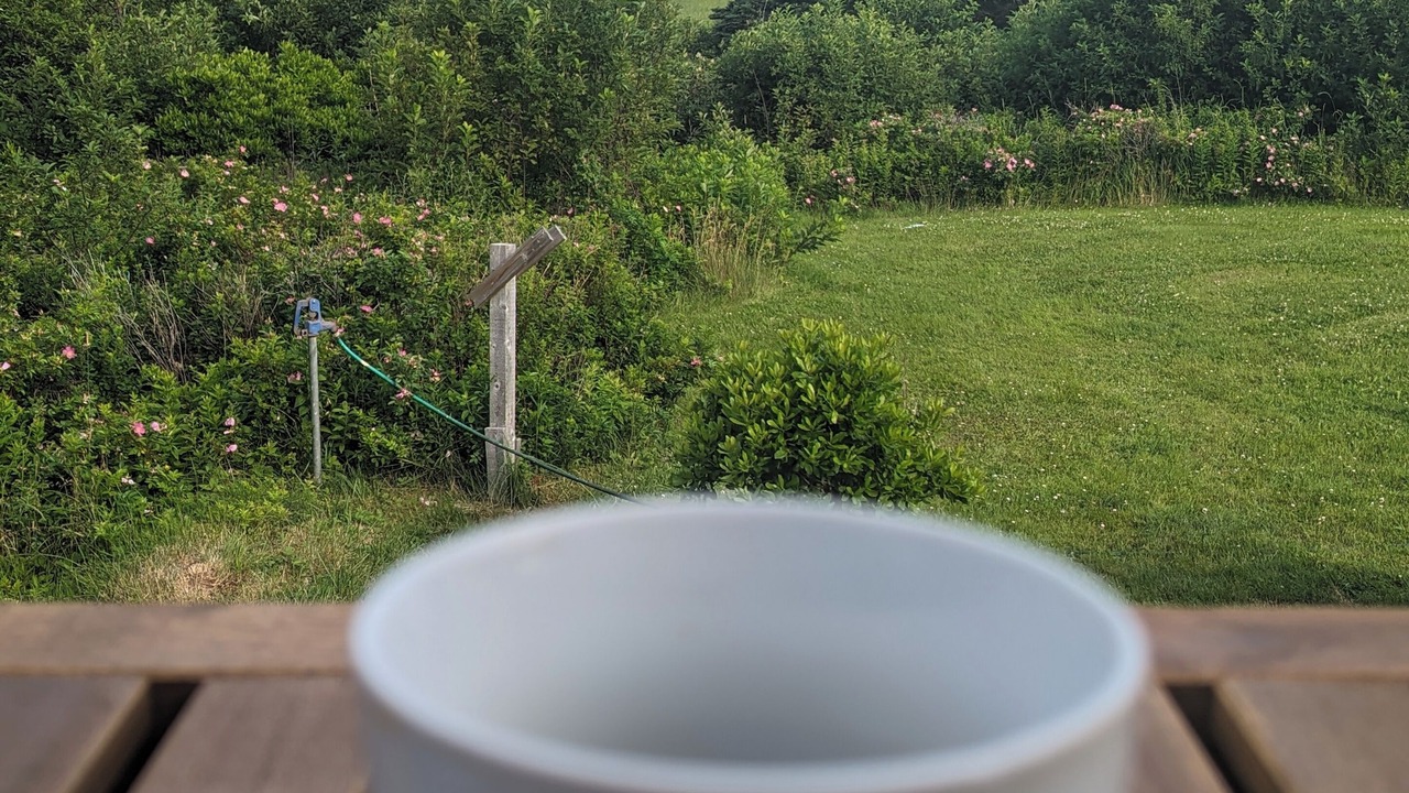 Photo of Outdoor in Petit-Etang