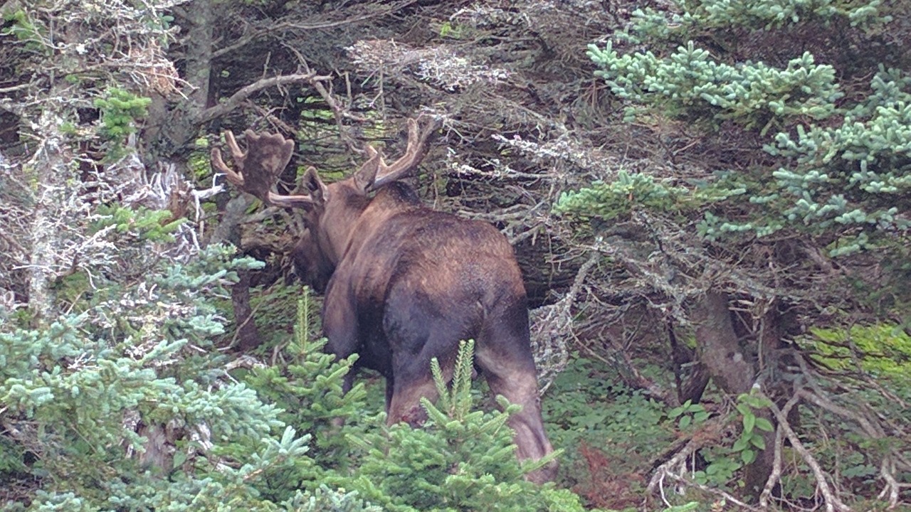Photo of Others in Petit-Etang