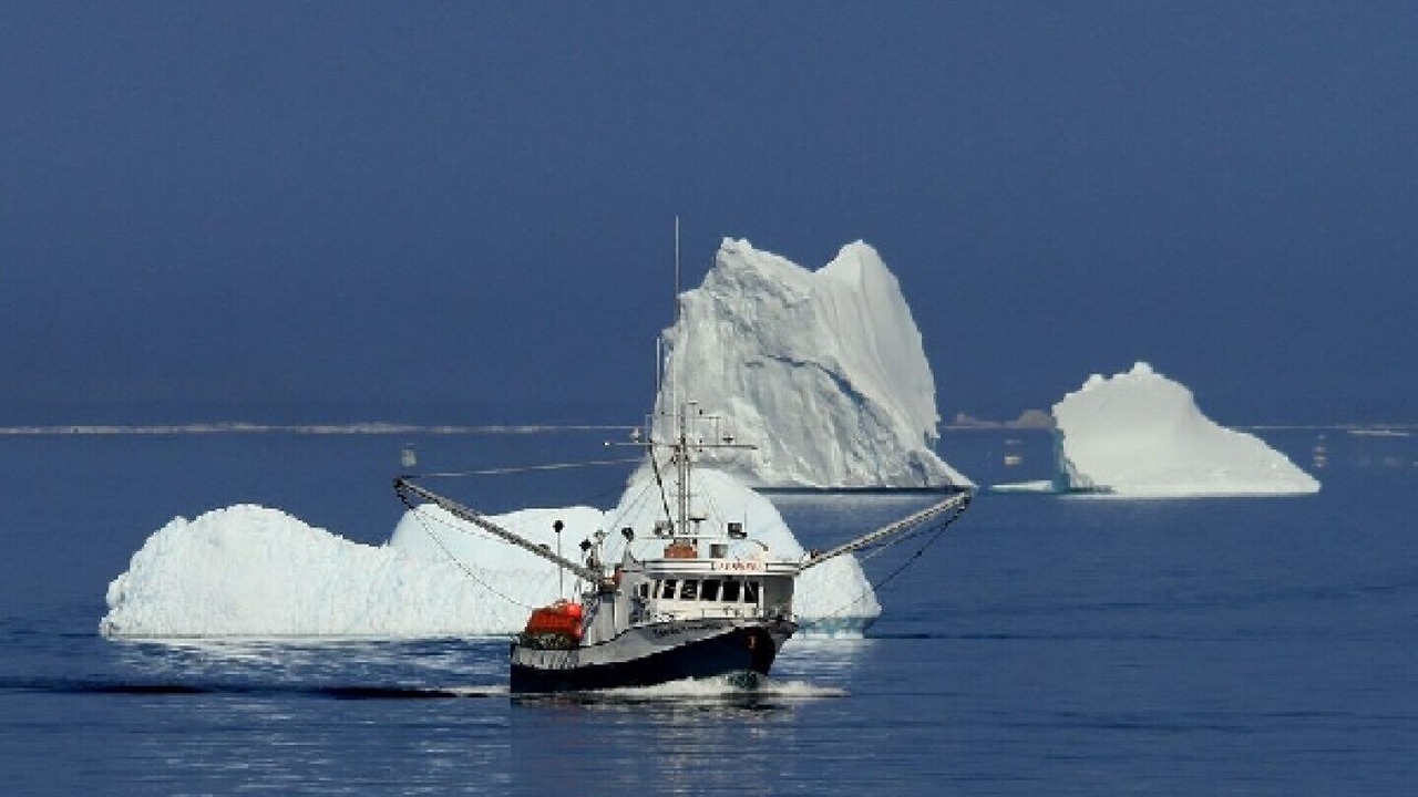 Photo of Others in Bonavista