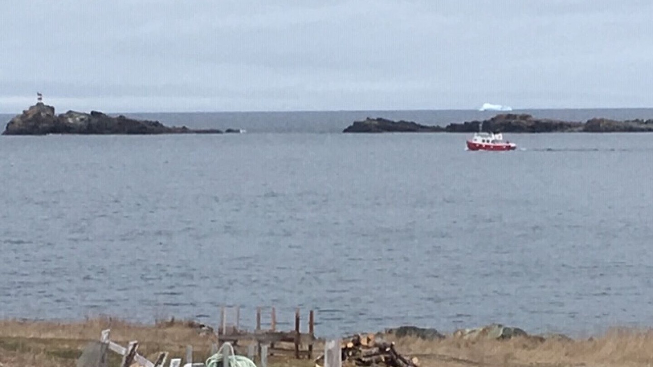 Photo of Others in Bonavista