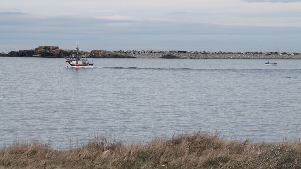 Photo of Others in Bonavista