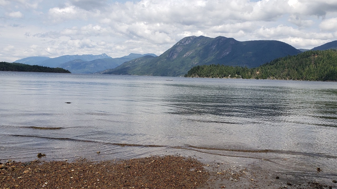 Photo of Others in West Porpoise Bay