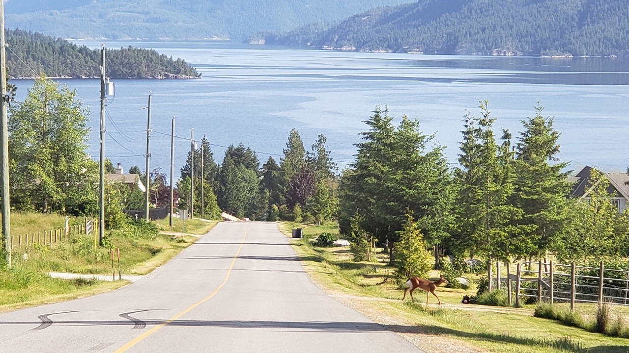 Photo of Others in West Porpoise Bay