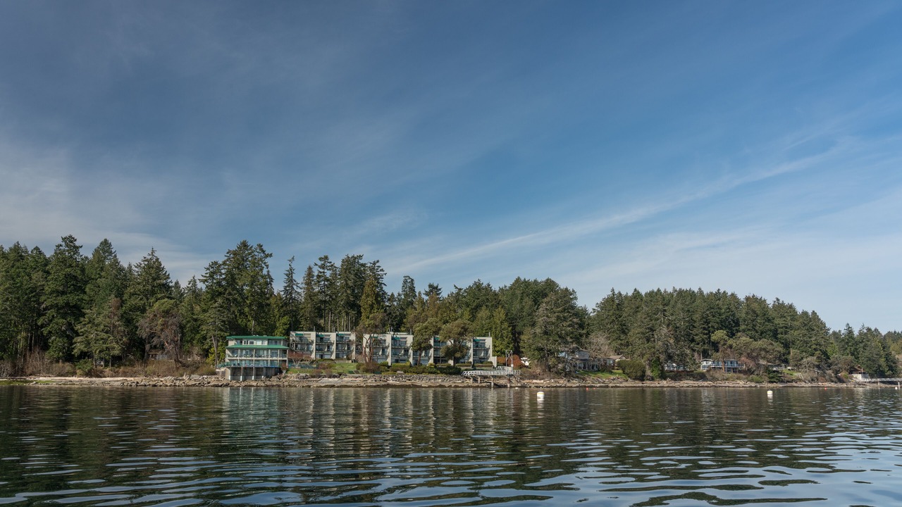 Photo of Others in Yellow Point