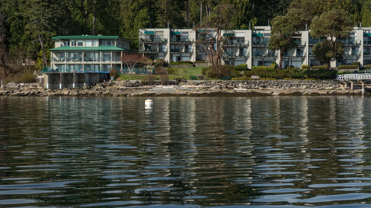 Photo of Others in Yellow Point