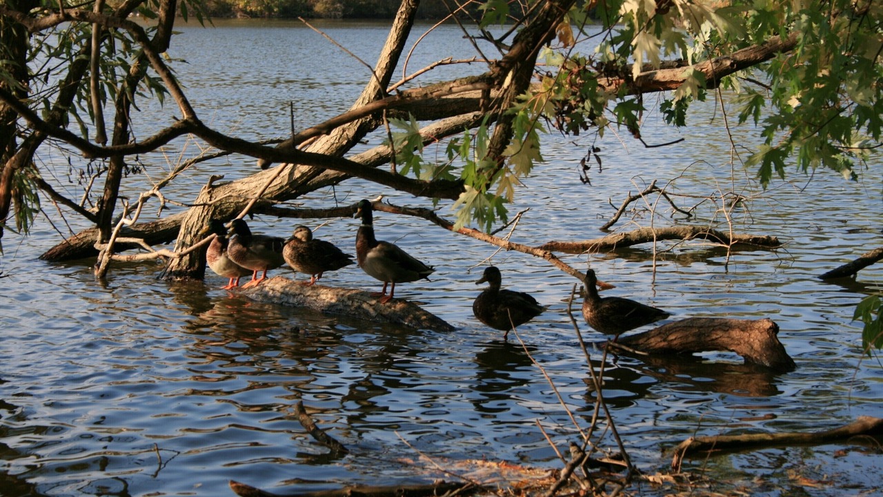 Photo of Others in Mitchell