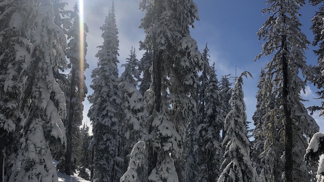 Photo of Outdoor in Courtenay