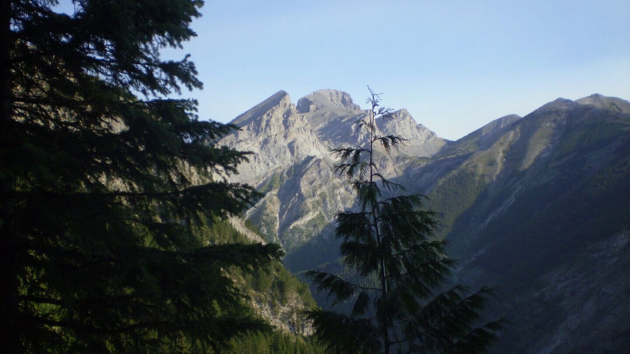 Photo of Others in Alpine Trails