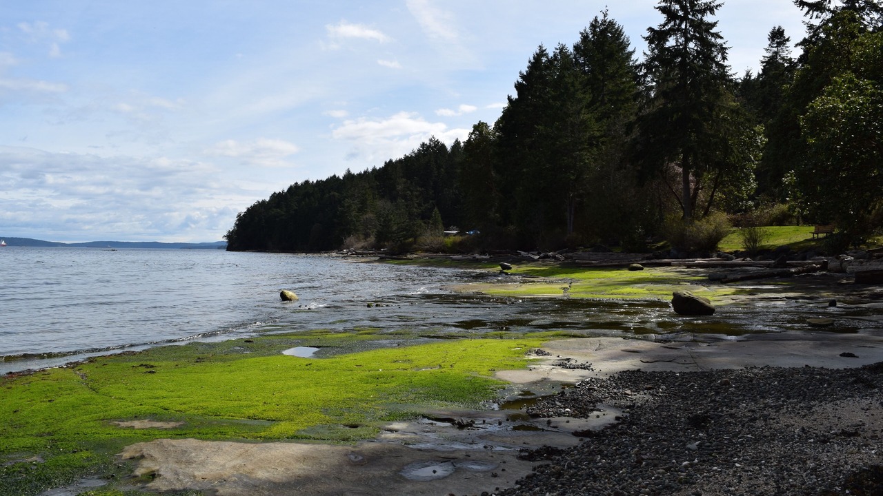 Photo of Others in Yellow Point