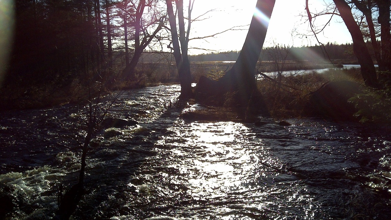 Photo of Outdoor in Chester