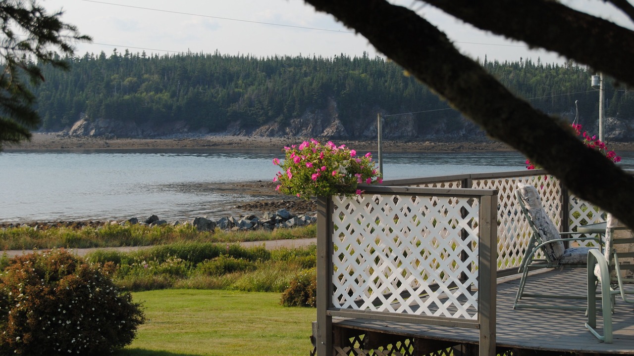 Photo of Others in Maces Bay