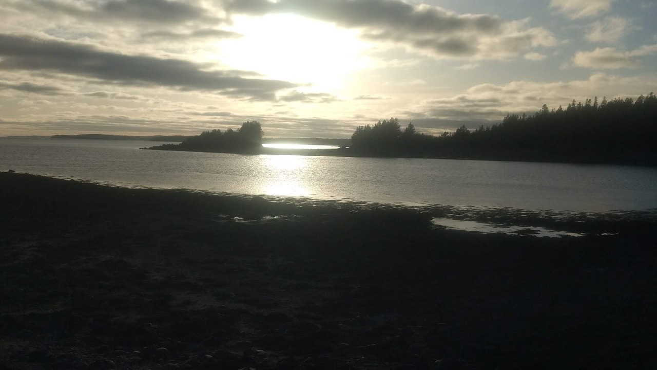 Photo of Others in Maces Bay