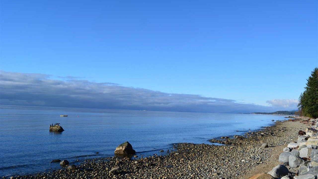 Photo of Others in Roberts Creek
