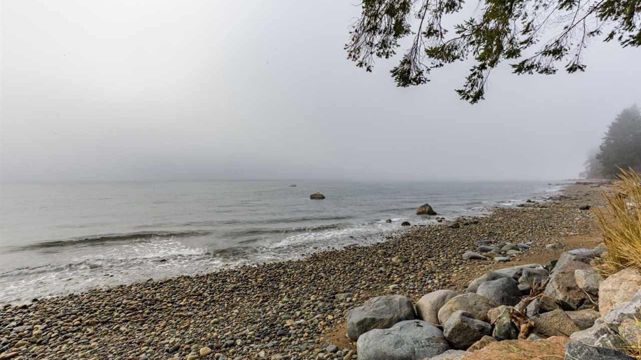 Photo of Others in Roberts Creek