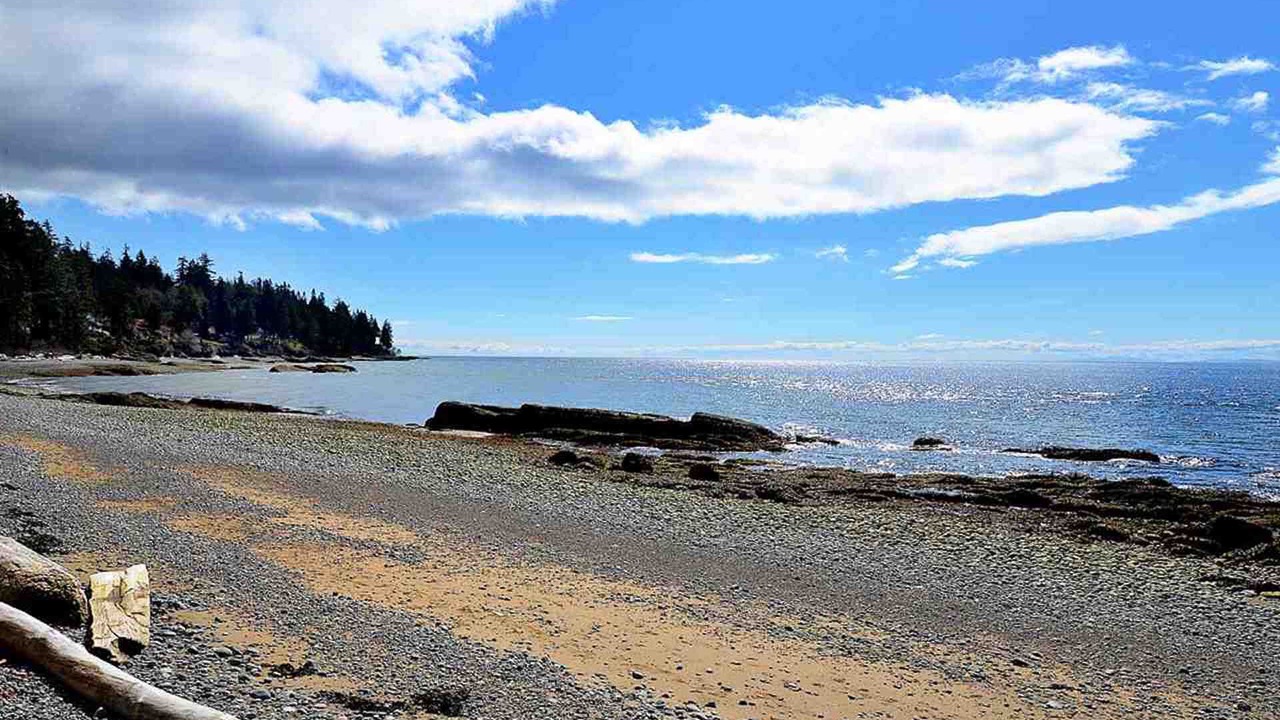 Photo of Others in Roberts Creek