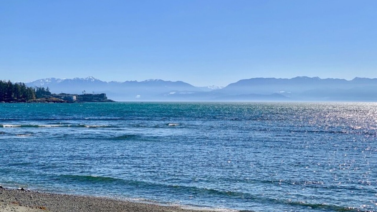 Photo of Others in Sooke