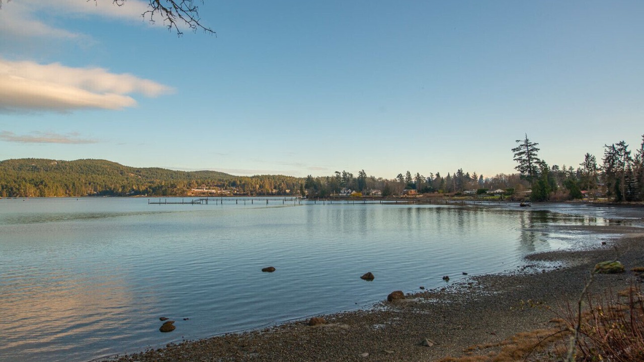Photo of Others in Sooke