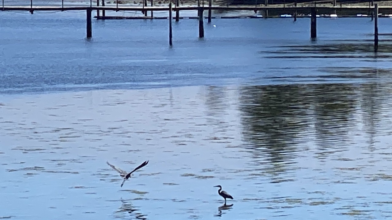 Photo of Others in Sooke