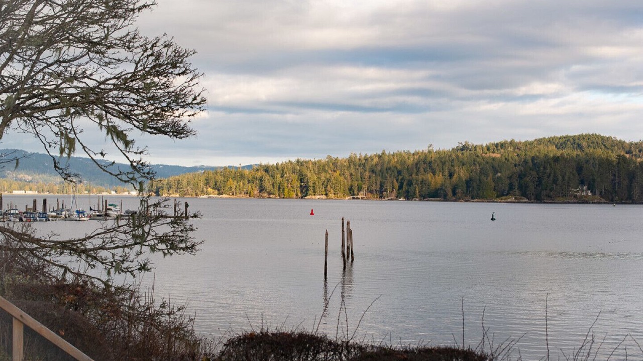 Photo of Others in Sooke