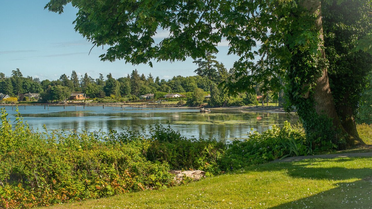 Photo of Others in Sooke