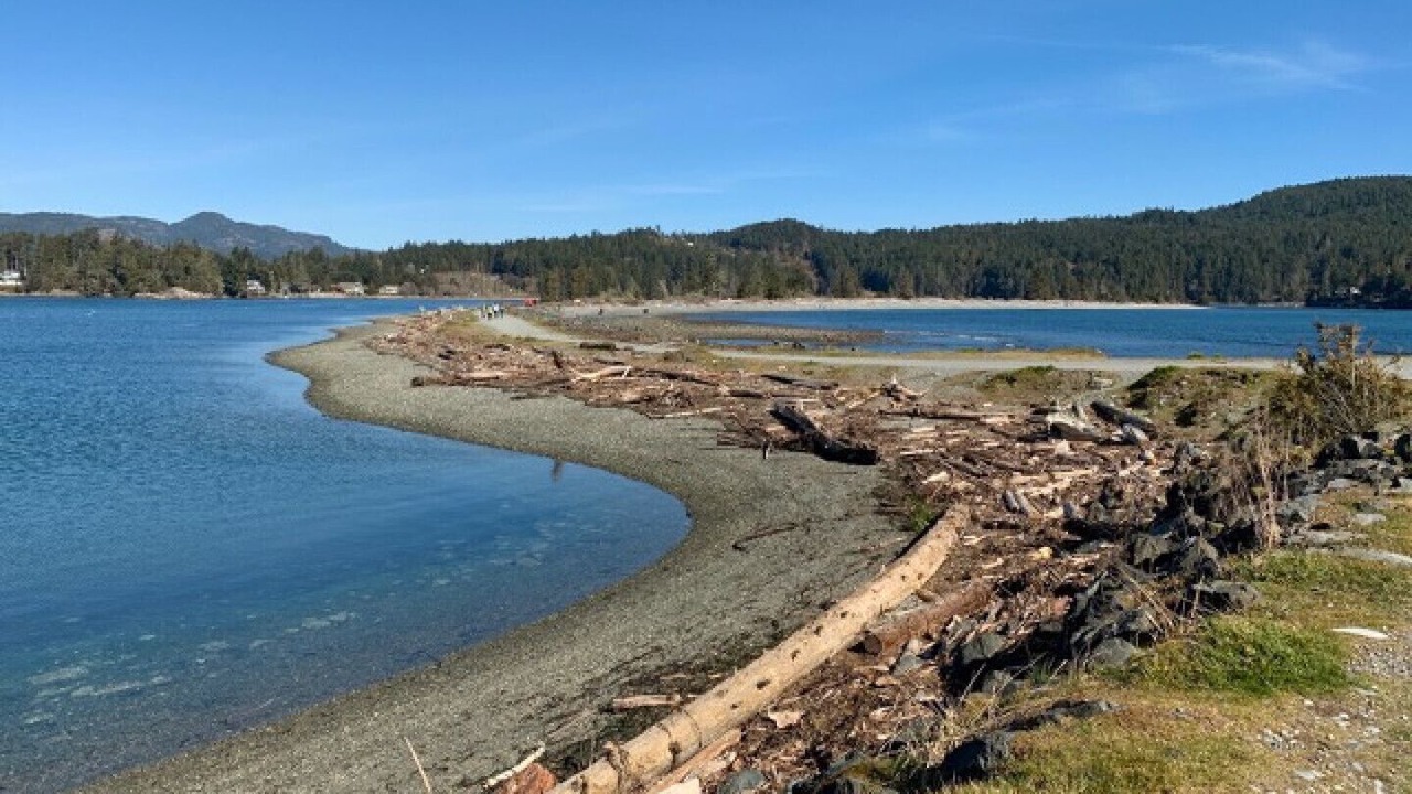 Photo of Others in Sooke