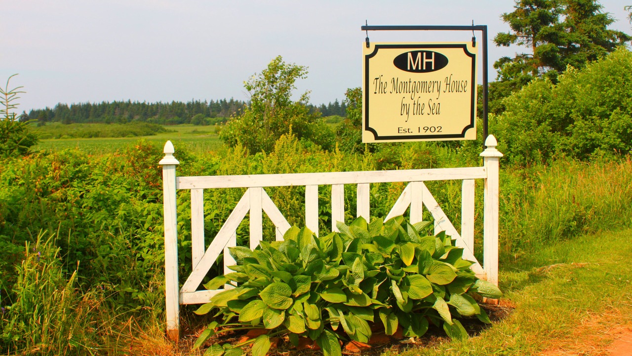 Photo of Outdoor in Princetown