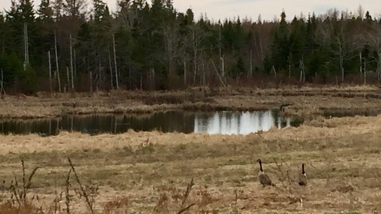Photo of Others in Souris