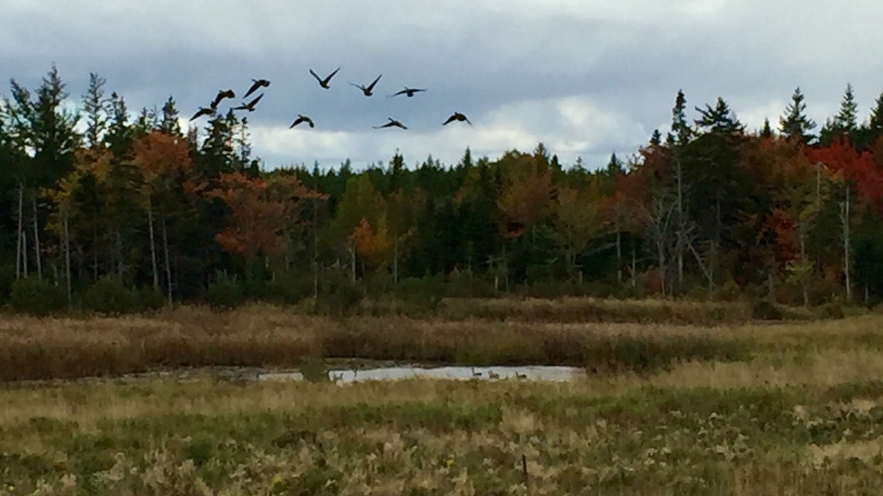 Photo of Outdoor in Souris
