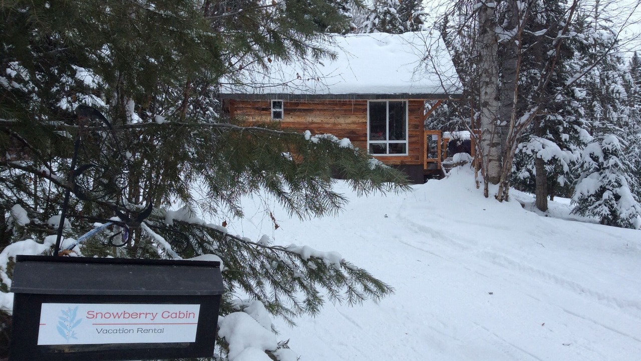 Photo of Outdoor in Blaeberry