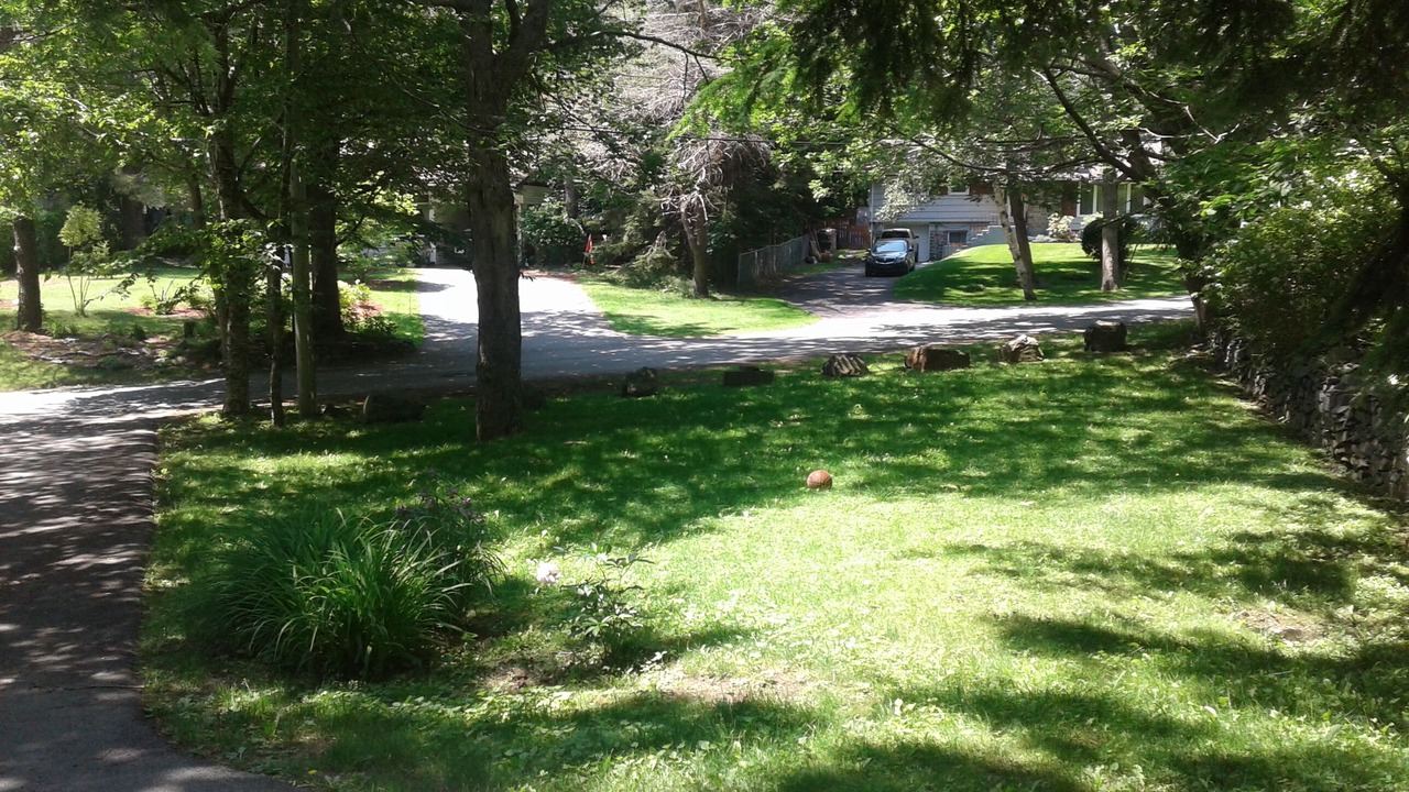 Photo of Outdoor in Halifax